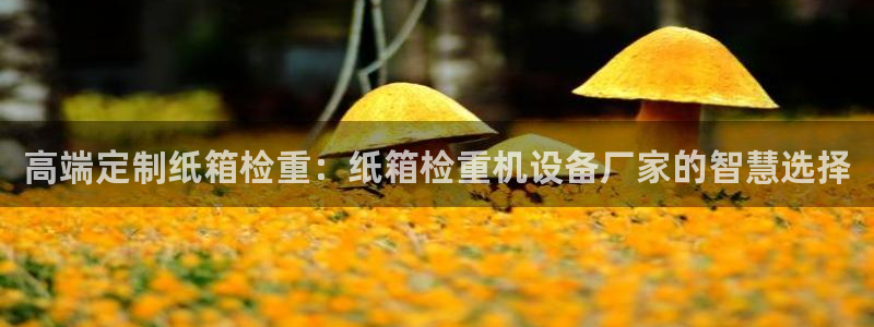 顺盈娱乐28是什么?