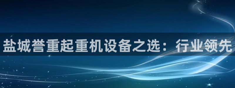 顺盈平台娱乐：盐城誉重起重机设备之选：行业领先