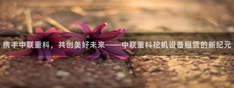 顺盈娱乐怎么退款：携手中联重科，共创美好未来——中联重科挖机