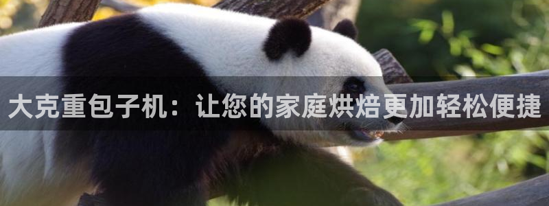 顺盈娱乐是天系列平台：大克重包子机：让您的家庭烘焙更加轻松便