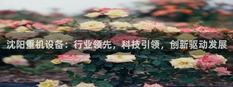 顺盈有什么娱乐场所：沈阳重机设备：行业领先，科技引领，创新驱