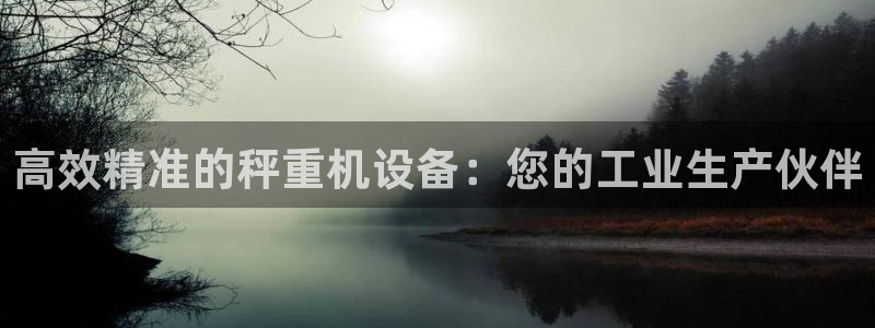顺盈娱乐形究7276O：高效精准的秤重机设备：您的工业生产伙