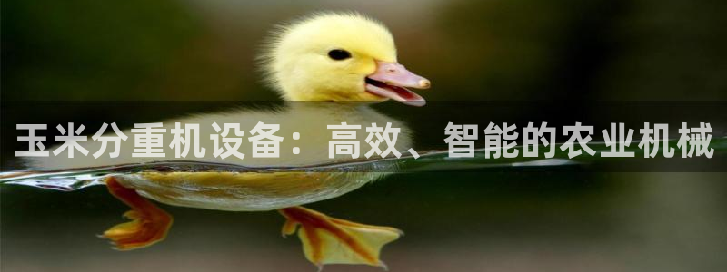 顺盈娱乐彩票官网首页：玉米分重机设备：高效、智能的农业机械
