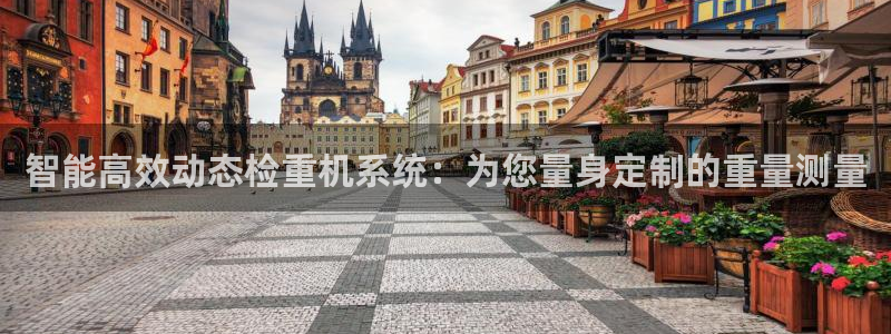 顺盈娱乐铜333OO：智能高效动态检重机系统：为您量身定制的