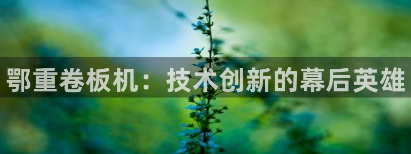顺盈时代广场娱乐城：鄂重卷板机：技术创新的幕后英雄