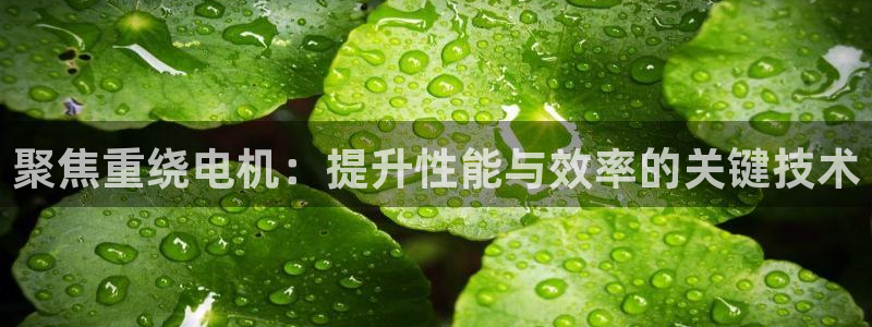 顺盈娱乐代理怎么样做：聚焦重绕电机：提升性能与效率的关键技术