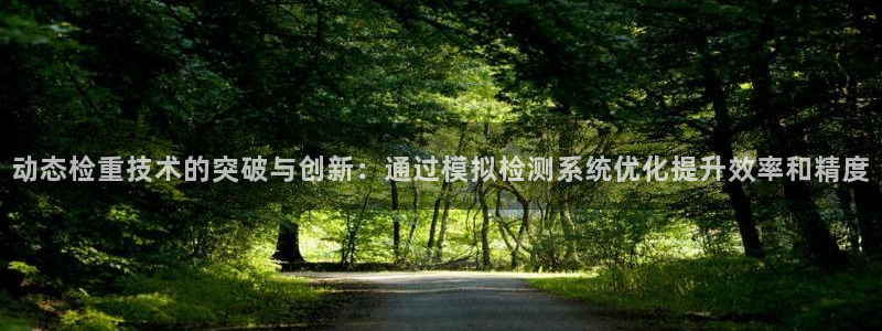 顺盈娱乐322901：动态检重技术的突破与创新：通过模拟检测