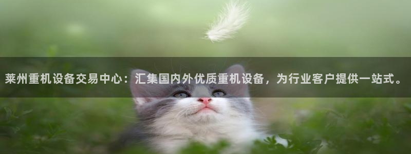 顺盈娱乐彩票官网下载：莱州重机设备交易中心：汇集国内外优质重