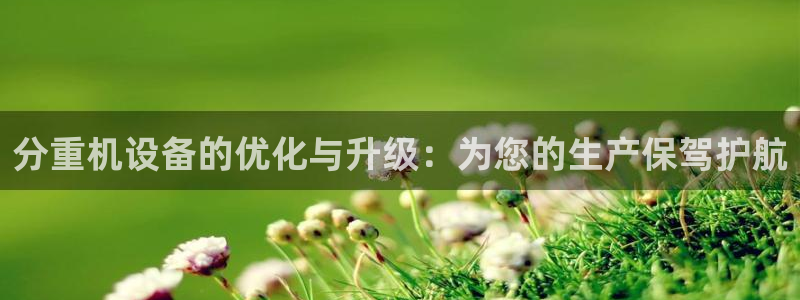 顺盈娱乐 炤企鹅779O3：分重机设备的优化与升级：为您的生