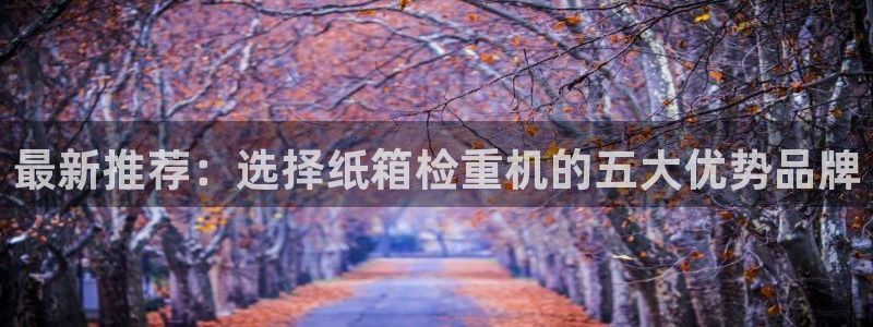 顺盈娱乐平台官网下载：最新推荐：选择纸箱检重机的五大优势品牌
