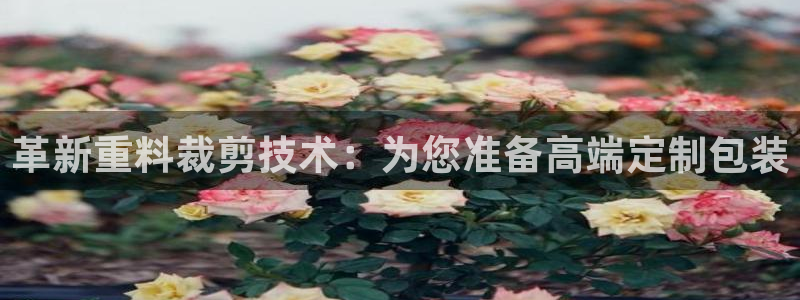 顺盈娱乐注册q779O3唐老鸭：革新重料裁剪技术：为您准备高