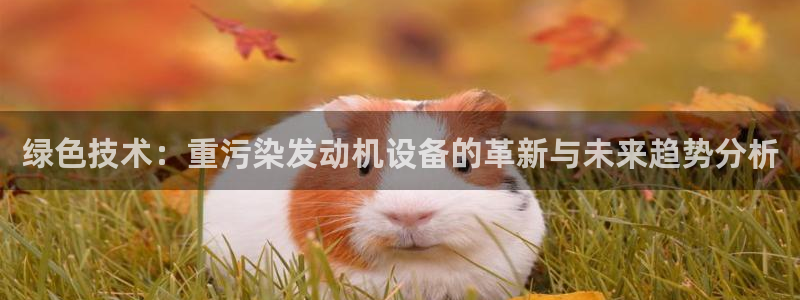 顺盈2娱乐滴qv382223