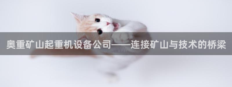 顺盈娱乐招商网判官333OO：奥重矿山起重机设备公司——连接