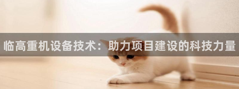 顺盈娱乐猪：临高重机设备技术：助力项目建设的科技力量