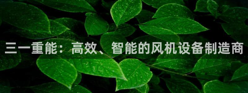 顺盈娱乐结究7276O