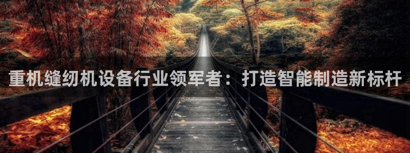顺盈娱乐在线开户流程：重机缝纫机设备行业领军者：打造智能制造