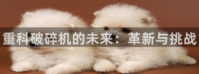 顺盈娱乐平台注册：重科破碎机的未来：革新与挑战