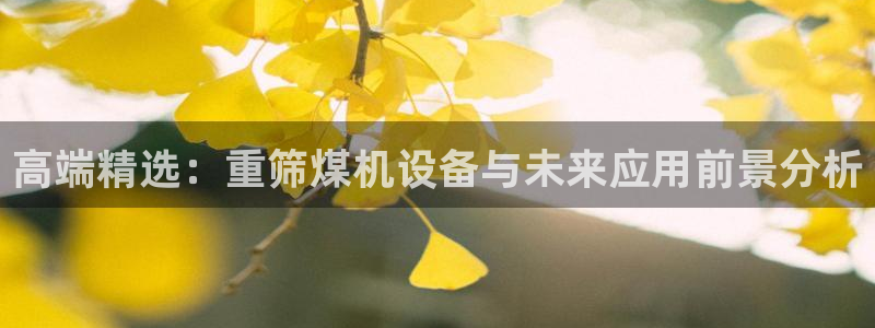 顺盈娱乐平台怎么样：高端精选：重筛煤机设备与未来应用前景分析