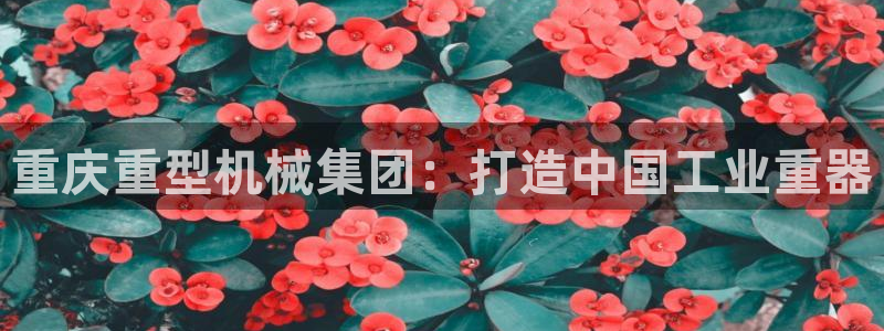 顺盈娱乐铜333OO：重庆重型机械集团：打造中国工业重器