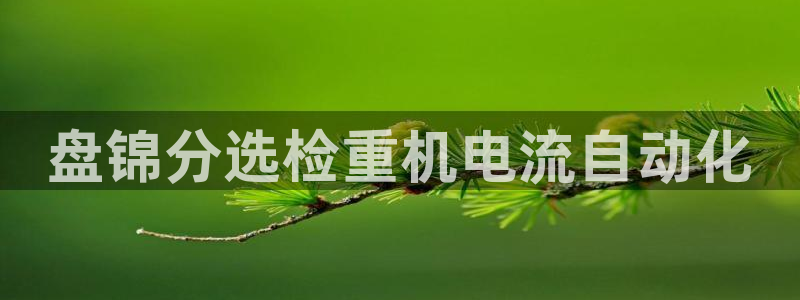 顺盈娱乐下载安装官方：盘锦分选检重机电流自动化