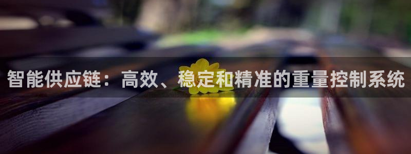 清远顺盈娱乐集团招聘：智能供应链：高效、稳定和精准的重量控制