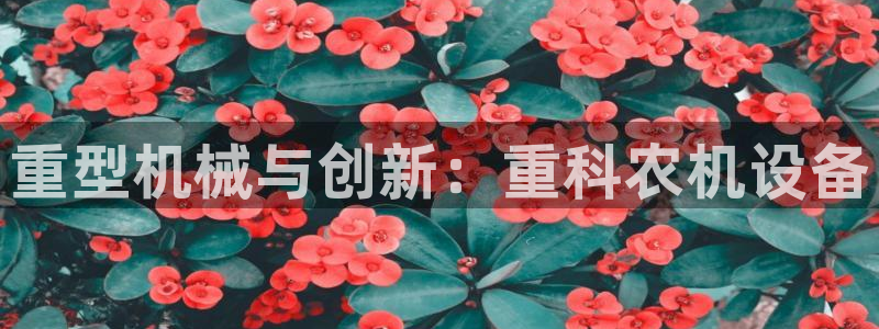 顺盈娱乐痛333OO：重型机械与创新：重科农机设备