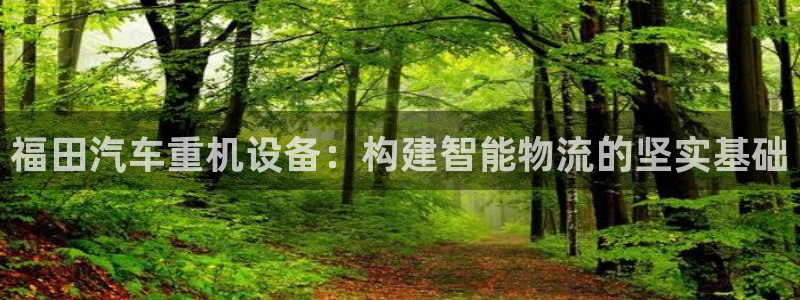 顺盈娱乐彩票官网：福田汽车重机设备：构建智能物流的坚实基础