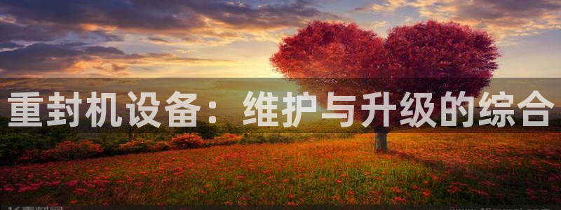 顺盈娱乐彩票官网：重封机设备：维护与升级的综合
