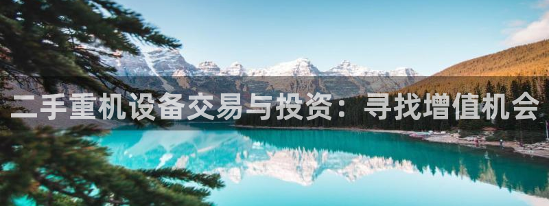 应县盈顺休闲娱乐室地址：二手重机设备交易与投资：寻找增值机会