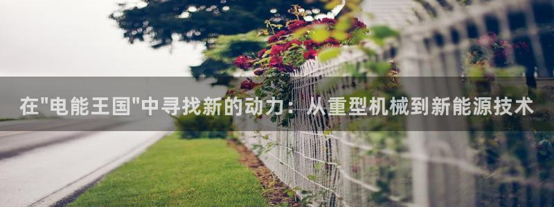 顺盈娱乐官网下载