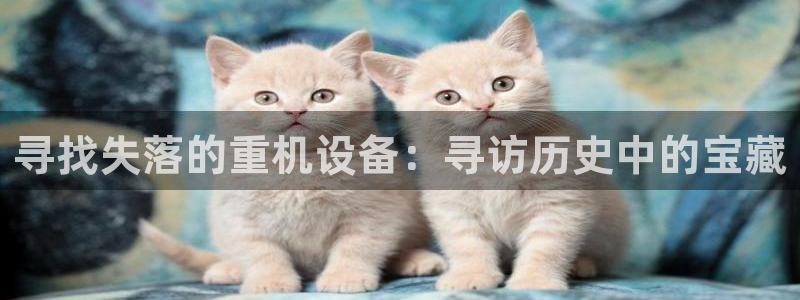 清远顺盈娱乐集团面试：寻找失落的重机设备：寻访历史中的宝藏