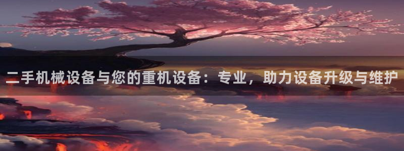 顺盈娱乐行求威判官333OO：二手机械设备与您的重机设备：专