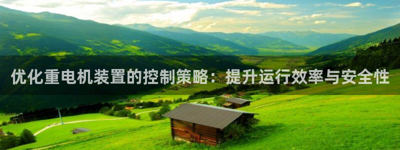 优盈娱乐耐顺63390：优化重电机装置的控制策略：提升运行效