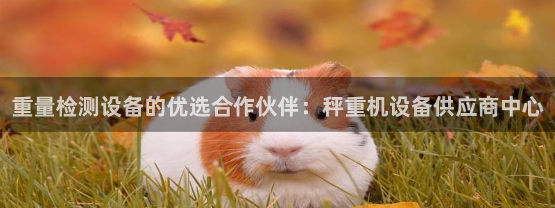 优盈娱乐顺122222：重量检测设备的优选合作伙伴：秤重机设