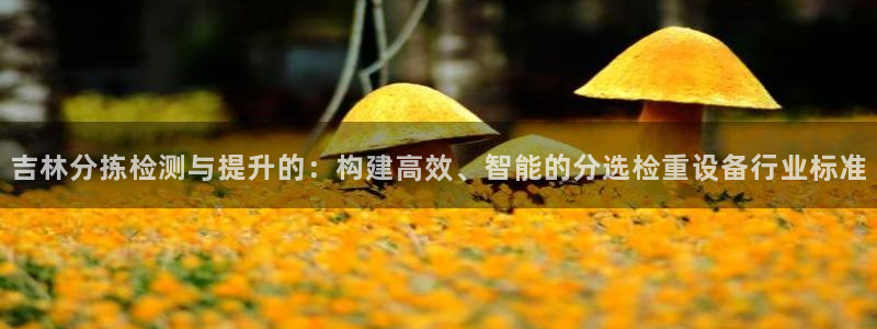顺盈娱乐总代理是谁：吉林分拣检测与提升的：构建高效、智能的分