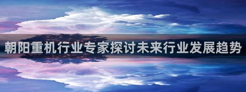 优盈娱乐耐顺63390：朝阳重机行业专家探讨未来行业发展趋势