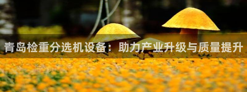 顺盈娱乐解答7276o