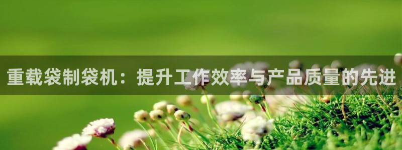 顺盈娱乐各究7276O：重载袋制袋机：提升工作效率与产品质量