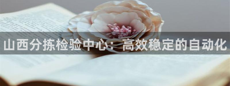 顺盈娱乐登录地址在哪里：山西分拣检验中心：高效稳定的自动化
