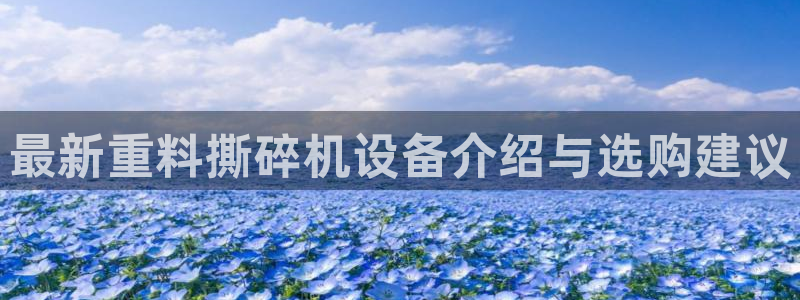 顺盈娱乐场究7276O：最新重料撕碎机设备介绍与选购建议