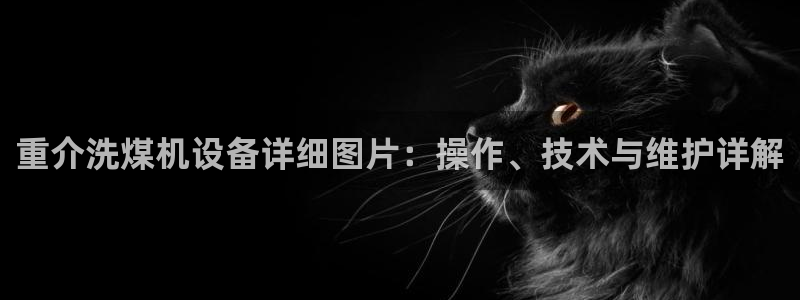 顺盈娱乐下载官网：重介洗煤机设备详细图片：操作、技术与维护详