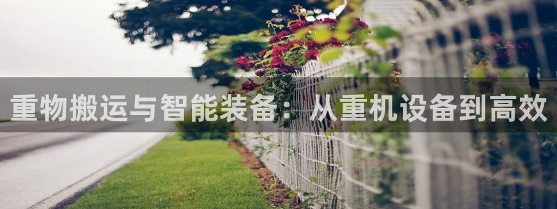 盈顺休闲娱乐室优惠：重物搬运与智能装备：从重机设备到高效