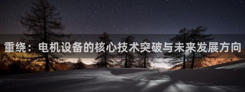 顺盈娱乐游戏开发商：重绕：电机设备的核心技术突破与未来发展方