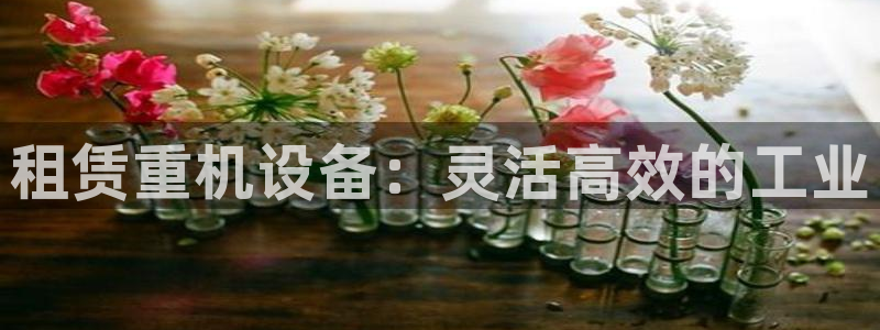 顺盈娱乐开户