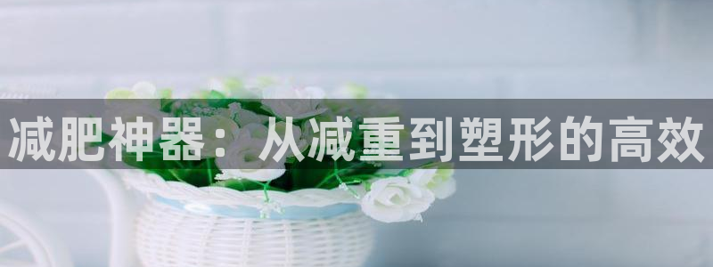 顺盈平台娱乐怎么样：减肥神器：从减重到塑形的高效