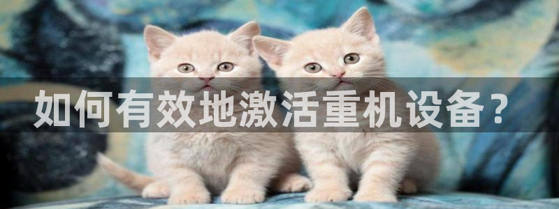 顺盈娱乐招商钱判官333OO