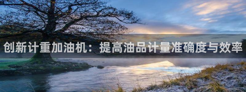 顺盈娱乐下载安装官方网：创新计重加油机：提高油品计量准确度与