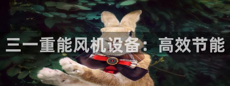 顺盈娱乐在线注册：三一重能风机设备：高效节能