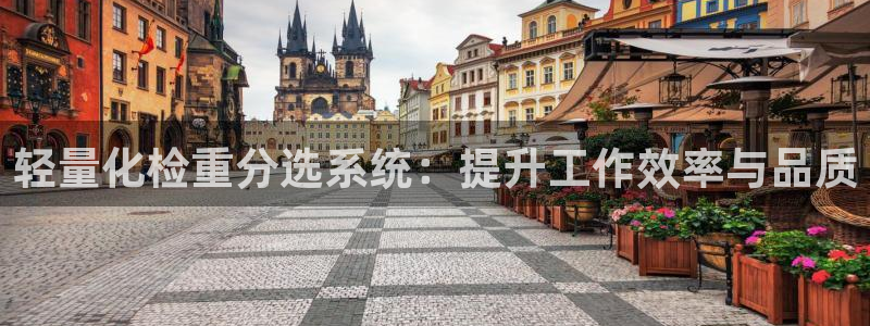 顺盈娱乐登录：轻量化检重分选系统：提升工作效率与品质