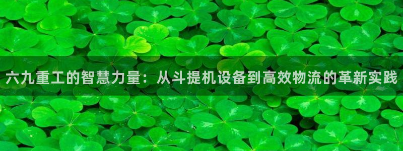 顺盈2娱乐注册平台：六九重工的智慧力量：从斗提机设备到高效物